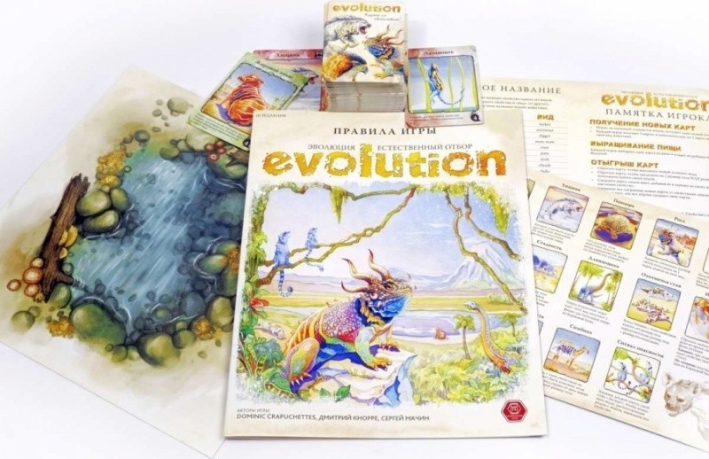 13-03-01 Игра настольная "Эволюция. Естественный отбор"
